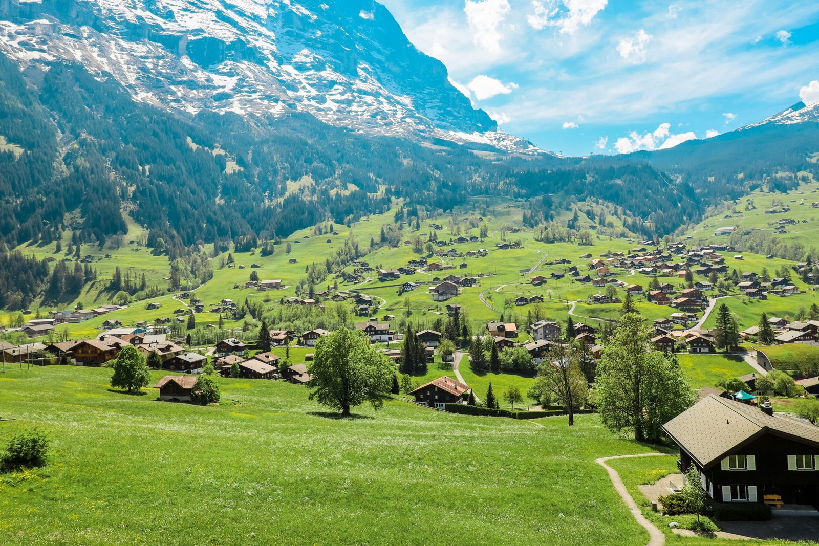 green trees and green grass field near mountain in Grindelwald Switzerland